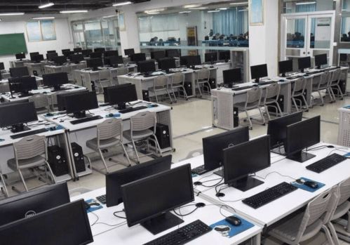 小程序，大幫手 軟件技術開發如何賦能現代生活